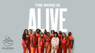 The Word Is Alive Isaiah 40:8 Contemporary English Version Interconfessional Edition