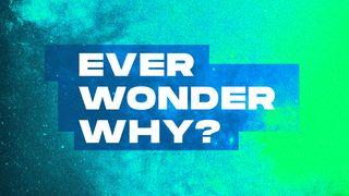 Ever Wonder Why?  John 6:63 English Standard Version 2016