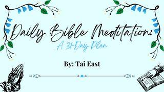 Daily Bible Meditation: A 31-Day Plan Przypowieści Salomona 30:5-6 Nowa Biblia Gdańska