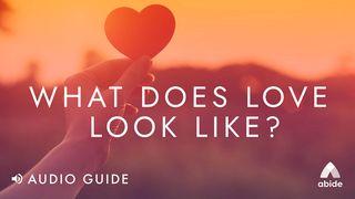 What Does Love Look Like? John 13:34-35 The Message