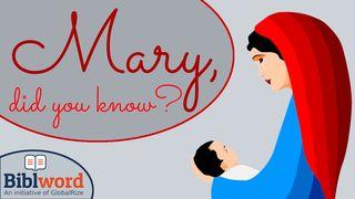 Mary, Did You Know? Lukáš 11:28 Český studijní překlad