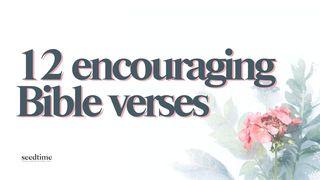 12 Encouraging Bible Verses Psalms 55:22 World English Bible, American English Edition, without Strong's Numbers