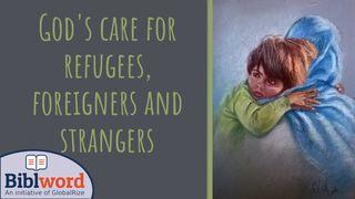 God’s Care For Refugees, Foreigners and Strangers Matthew 10:40-42 English Standard Version 2016