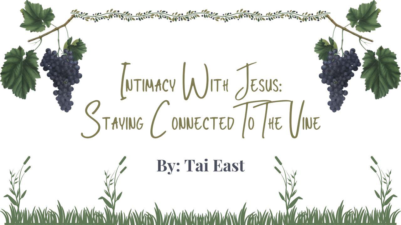 Intimacy With Jesus: Staying Connected To The Vine