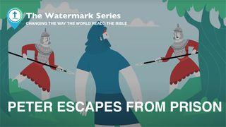 Watermark Gospel | Peter Escapes From Prison Acts 12:1-11 English Standard Version 2016