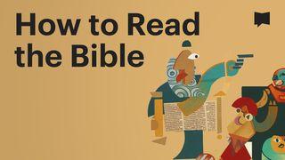 BibleProject | How to Read the Bible 2. Mose 32:7-14 Die Bibel (Schlachter 2000)