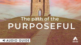 Path of the Purposeful  Proverbs 19:21 New Living Translation