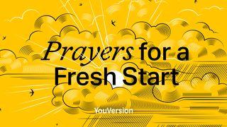 Prayers for a Fresh Start Psalms 131:1-3 Christian Standard Bible