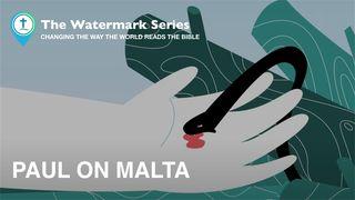 Watermark Gospel | Paul on Malta Faptele Apostolilor 28:4 Biblia sau Sfânta Scriptură cu Trimiteri 1924, Dumitru Cornilescu