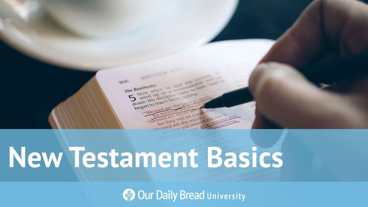 Our Daily Bread University - New Testament Basics