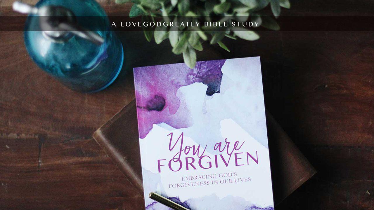 Love God Greatly: You Are Forgiven