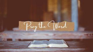 Pray the Word Ephesians 1:18 New International Version