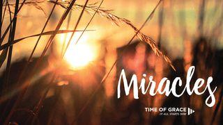 Miracles Matthew 19:26 New English Translation