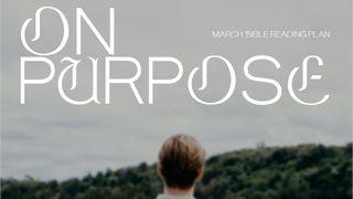 On Purpose: Nehemiah and Esther Nehemiah 5:14-19 New International Version
