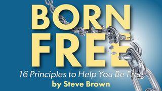 Born Free: 16 Principles to Help You Be Free Psalms 32:1-5 New Living Translation
