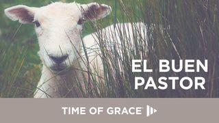 El Buen Pastor Mateo 18:12 Nueva Versión Internacional - Español