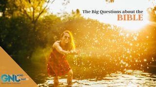 The Big Questions About the Bible John 5:39 Christian Standard Bible