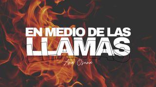 En Medio de las Llamas Isaías 53:10 Nueva Versión Internacional - Español