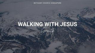 Walking With Jesus (Growth) John 6:48-69 New International Version