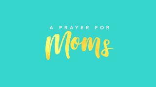 Prayer for Moms Isaiah 49:15 GOD'S WORD
