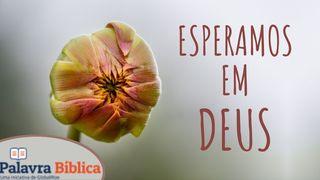 Esperamos Em Deus Lamentações 3:22-23 Almeida Revista e Corrigida (Portugal)