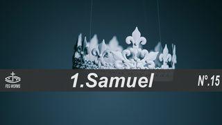 Durch die Bibel lesen - 1. Samuel 1. Samuel 16:7 Die Bibel (Schlachter 2000)
