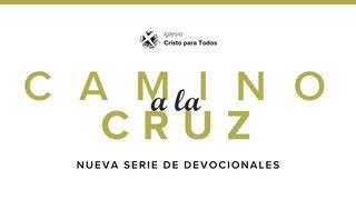 Camino a La Cruz John 19:41 New American Bible, revised edition