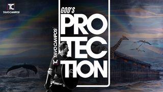 God's Protection  Proverbs 30:5 New International Version (Anglicised)
