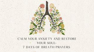 Calm Your Anxiety and Restore Your Soul: 7 Days of Breath Prayers Psalms 107:28-30 New English Translation