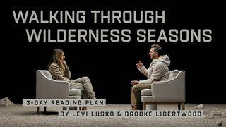 Walking Through Wilderness Seasons: 3-Day Reading Plan by Levi Lusko and Brooke Ligertwood Revelation 2:8-11 English Standard Version 2016