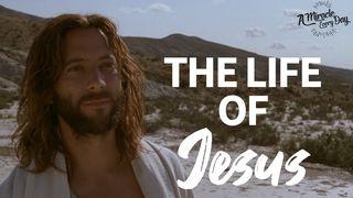 The Life of Jesus John 11:49-52 The Message