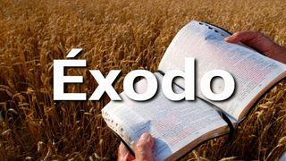 Éxodo en 10 Versículos Exodus 20:1-21 King James Version