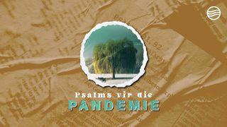 Psalms Vir Die Pandemie PSALMS 103:2 Afrikaans 1933/1953