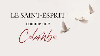  Le Saint-Esprit Comme Une Colombe - Freddy De Coster 1 Pierre 1:16 La Bible du Semeur 2015