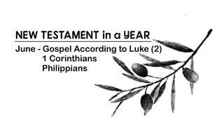 New Testament in a Year: June Lucas 17:26-30 Nueva Versión Internacional - Español