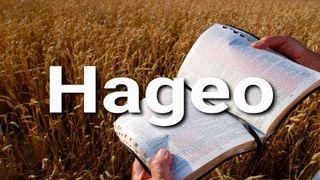 Hageo en 10 Versículos Hageo 1:6 Nueva Traducción Viviente