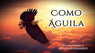 Como Águila Romanos 6:11 Nueva Versión Internacional - Español