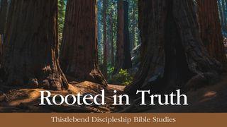 Rooted in Truth: A Devotion in the Ten Commandments Colossians 2:17 New Living Translation