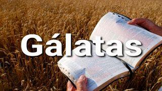 Gálatas en 10 Versículos Galatians 5:14 American Standard Version