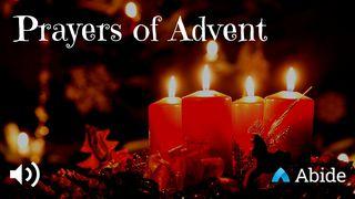 25 Prayers For Advent Revelation 22:14-15 The Message