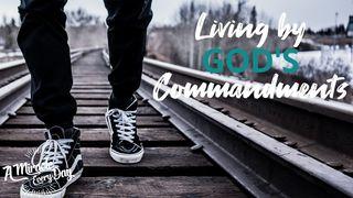 Living by God's Commandments Exodus 20:16 Contemporary English Version