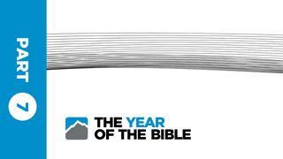 Year of the Bible: Part Seven of Twelve  The Books of the Bible NT