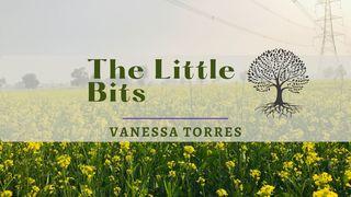 The Little Bits Acts 16:31 New International Version