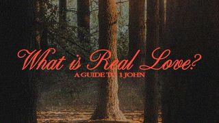 What Is Real Love? A Guide to 1 John 1 John 2:12 Amplified Bible, Classic Edition