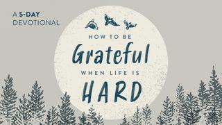 How to Be Grateful When Life Is Hard Danieliaus 2:17 A. Rubšio ir Č. Kavaliausko vertimas su Antrojo Kanono knygomis