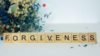 Forgiveness Matthew 6:11 Christian Standard Bible