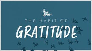 The Habit of Gratitude Revelation 7:13-14 Christian Standard Bible