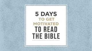 5 Days to Get Motivated to Read the Bible Psalms 19:10 New King James Version