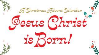 Christmas Advent Bible Reading Plan: Jesus Is Born Hebrews 2:12 King James Version, American Edition