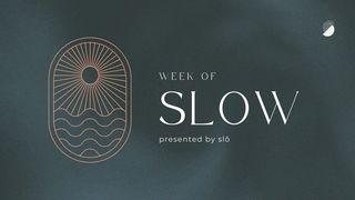 Week of Slow Philippians 1:9-11 The Message